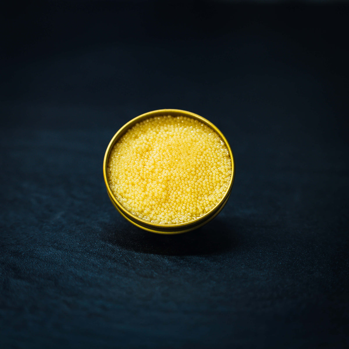 Albino Caviar Rare